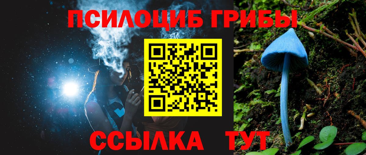 Гурьевск  Псилоцибиновые грибы ЛСД  Вход с VPN 