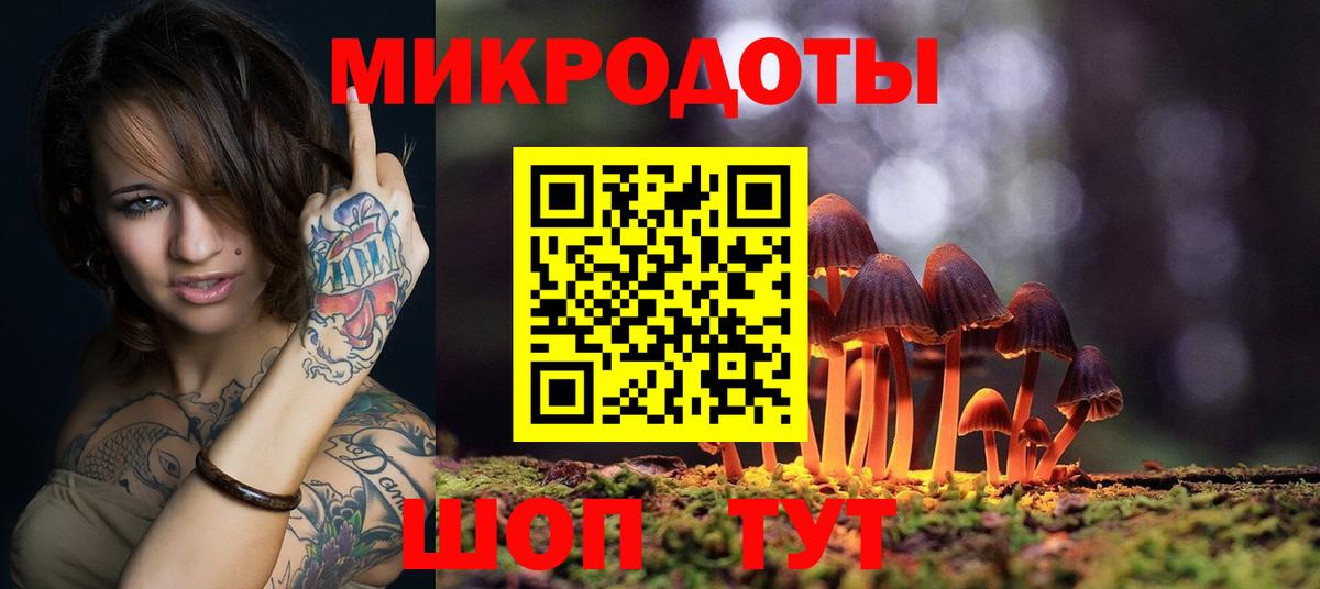 Галлюциногенные грибы GOLDEN TEACHER Гурьевск